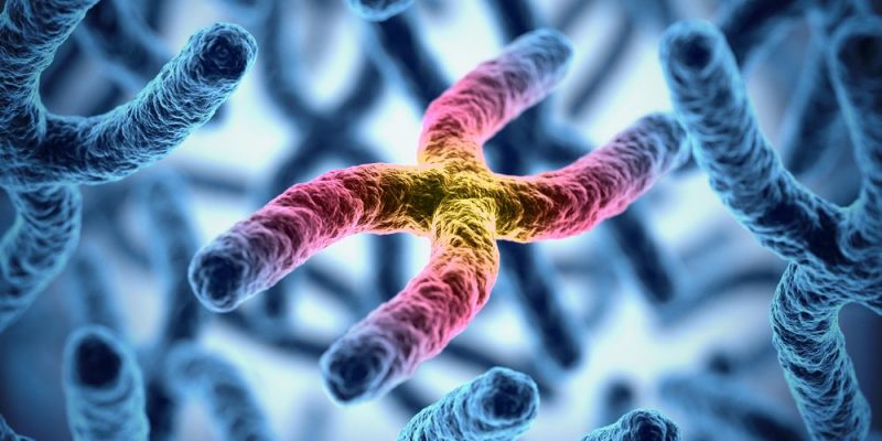 Científicos completan por primera vez el genoma humano
