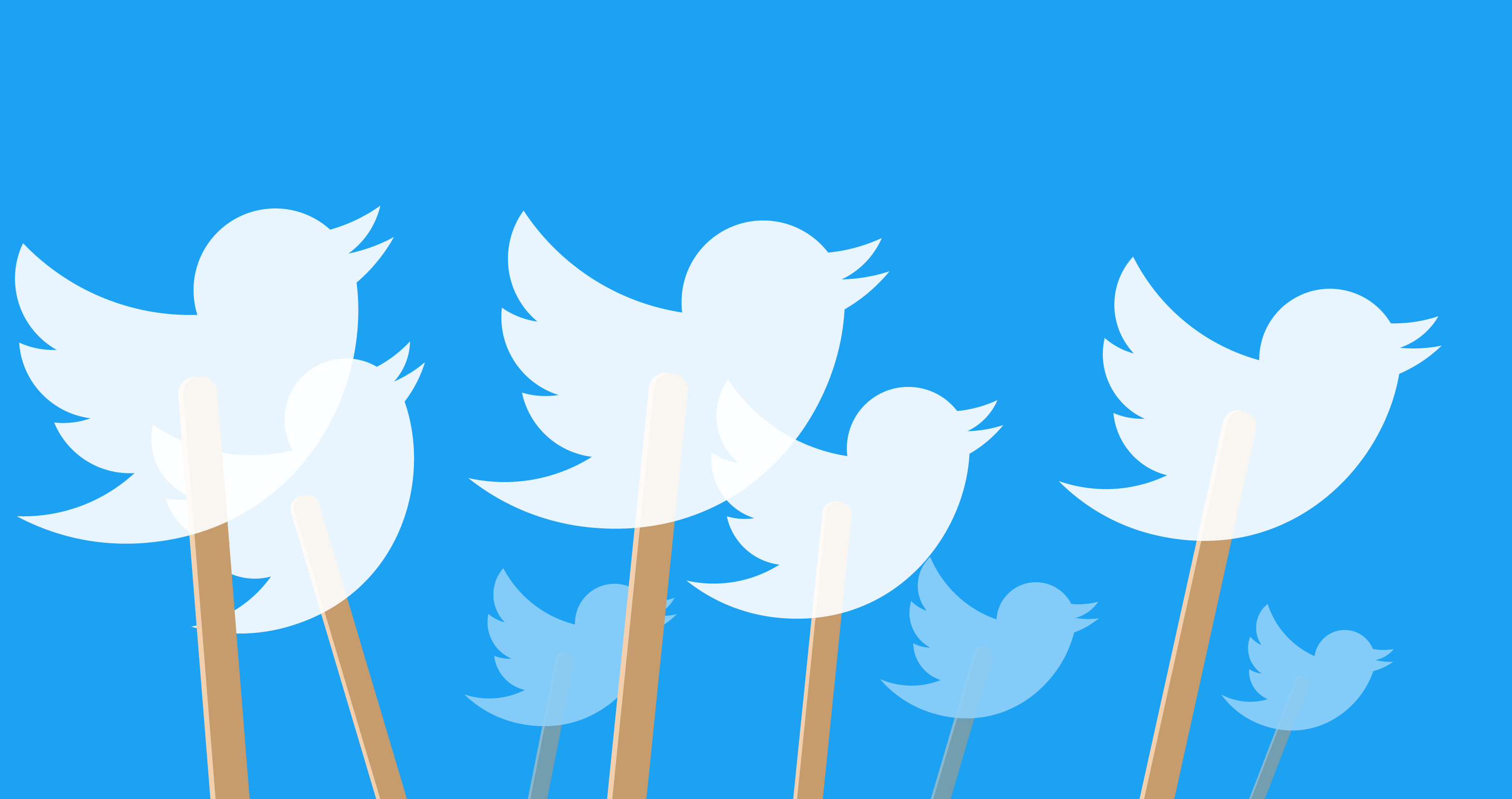 El Sumario - Twitter eliminó 1.000.000 de cuentas por acoso en la segunda mitad de 2020