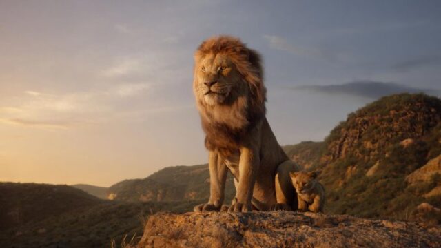 El Sumario - Disney continúa con la precuela de “El Rey León”