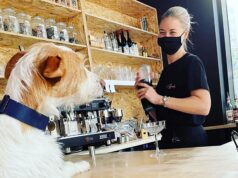 El Sumario - En un bar de Inglaterra las personas pueden pedir bebidas para ellas y sus mascotas