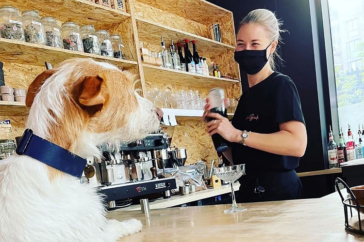 El Sumario - En un bar de Inglaterra las personas pueden pedir bebidas para ellas y sus mascotas