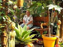 El Sumario - Conoce cuántos años invirtió un jubilado en construir un jardín tropical