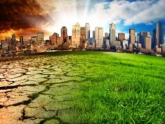 El Sumario - Greta Thunberg considera posible "evitar las peores circunstancias" de la crisis climática