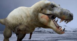 Los dinosaurios prosperaron en el frío del Ártico, según estudio
