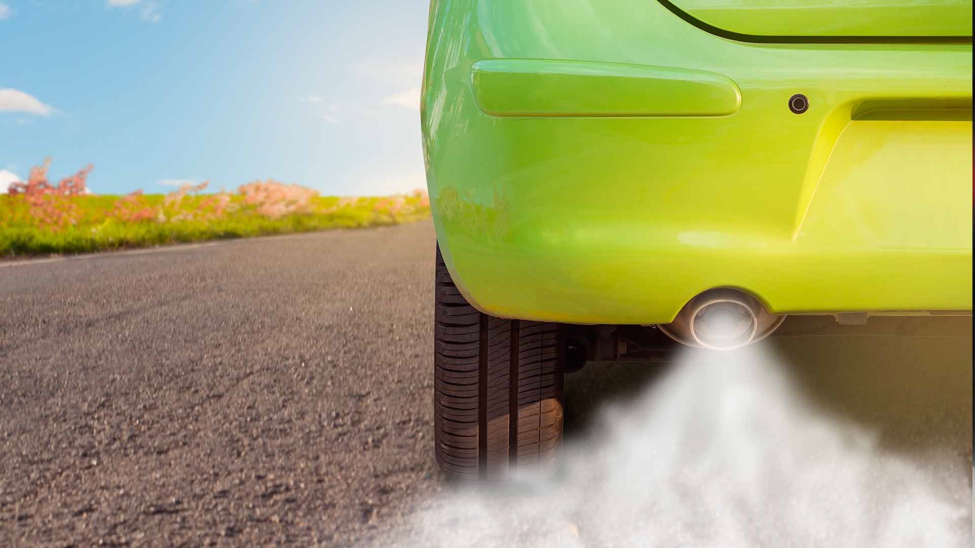 El Sumario - Investigadores creen posible aprovechar el humo de tubos de escape para cultivar alimentos