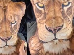 El Sumario - Talentoso artista convierte la espalda de su novia en la cara de un león