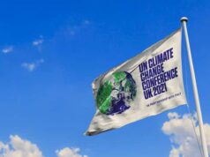El Sumario - WWF se muestra optimista ante la última semana de reuniones de la COP26