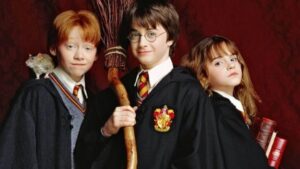 Harry Potter Saga Franquicia