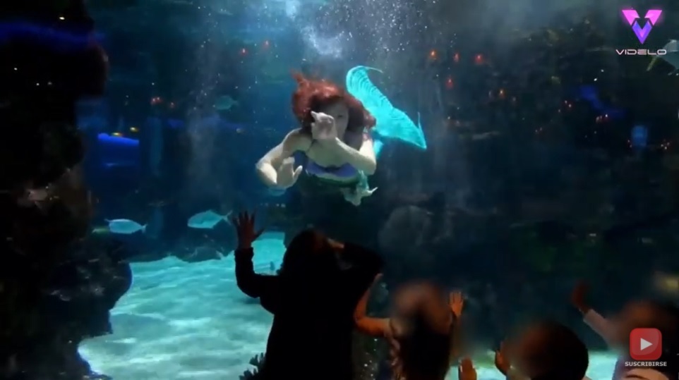 Sabina Rose Sirenita Acuario