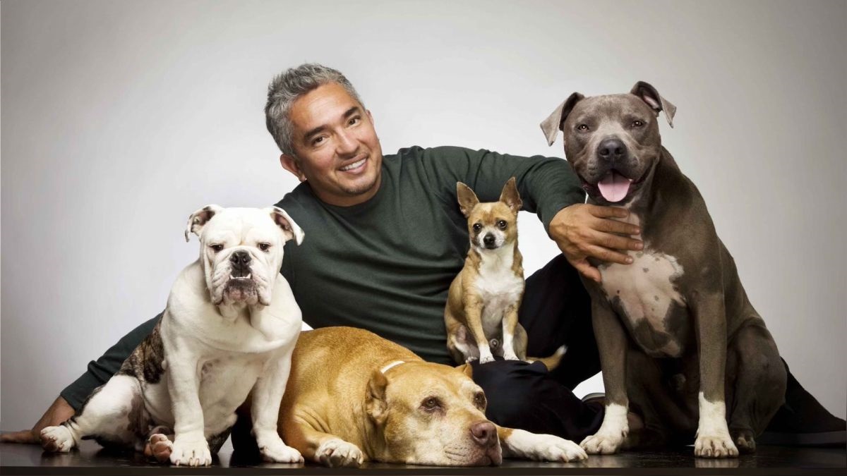 César Millán en “Mejor humano, mejor perro”