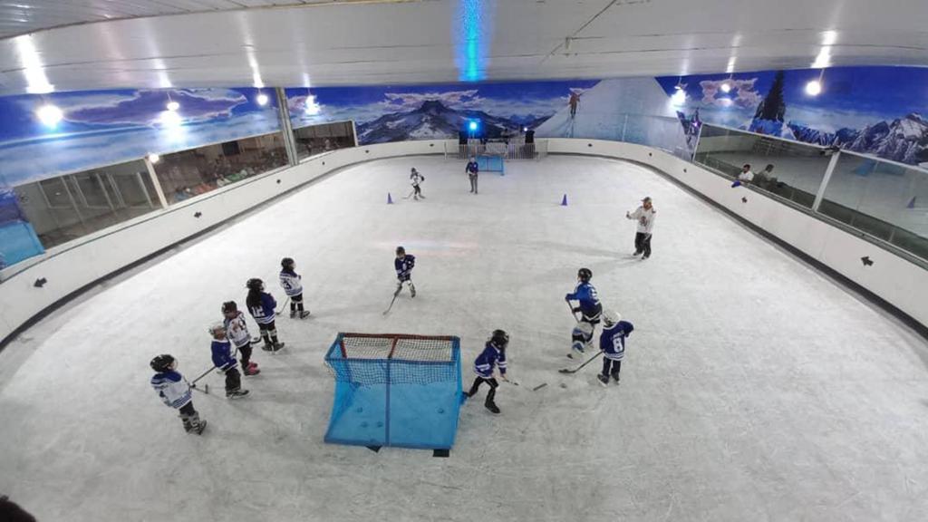 Hockey sobre hielo