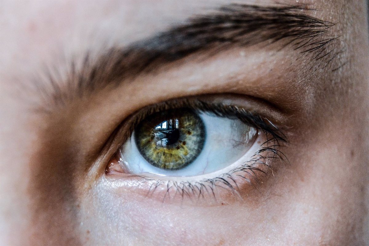 Retina