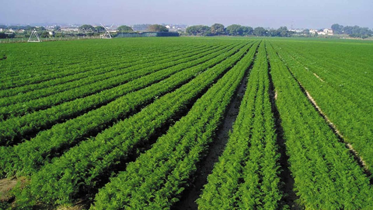 Fedeagro