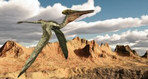 pterosaurio