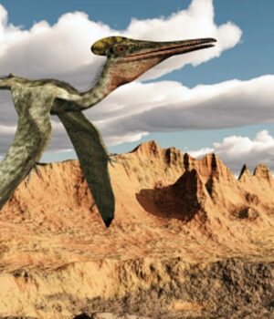 pterosaurio