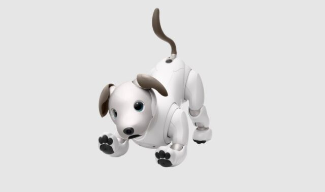 Perro robot Aibo