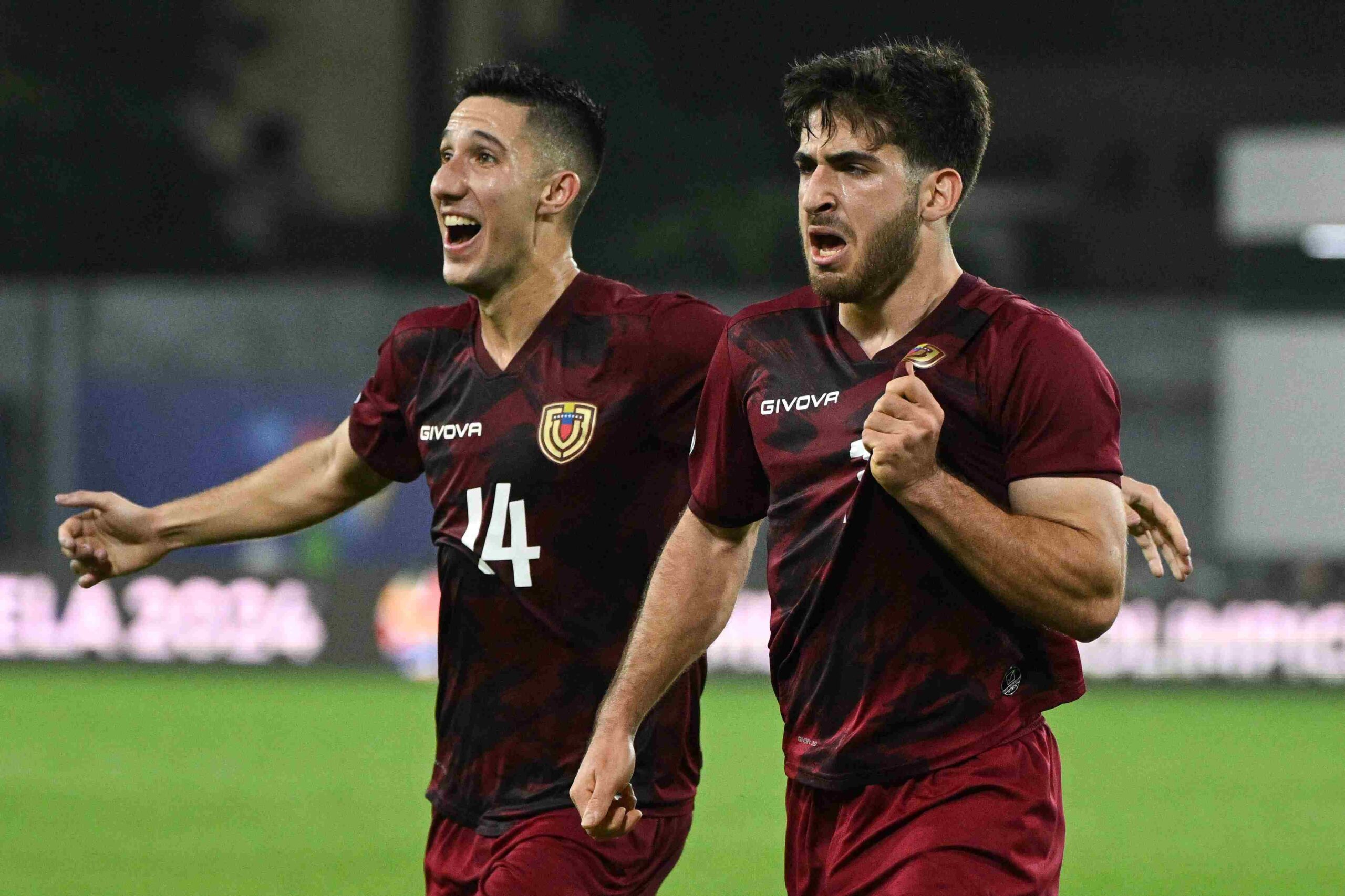 Vinotinto