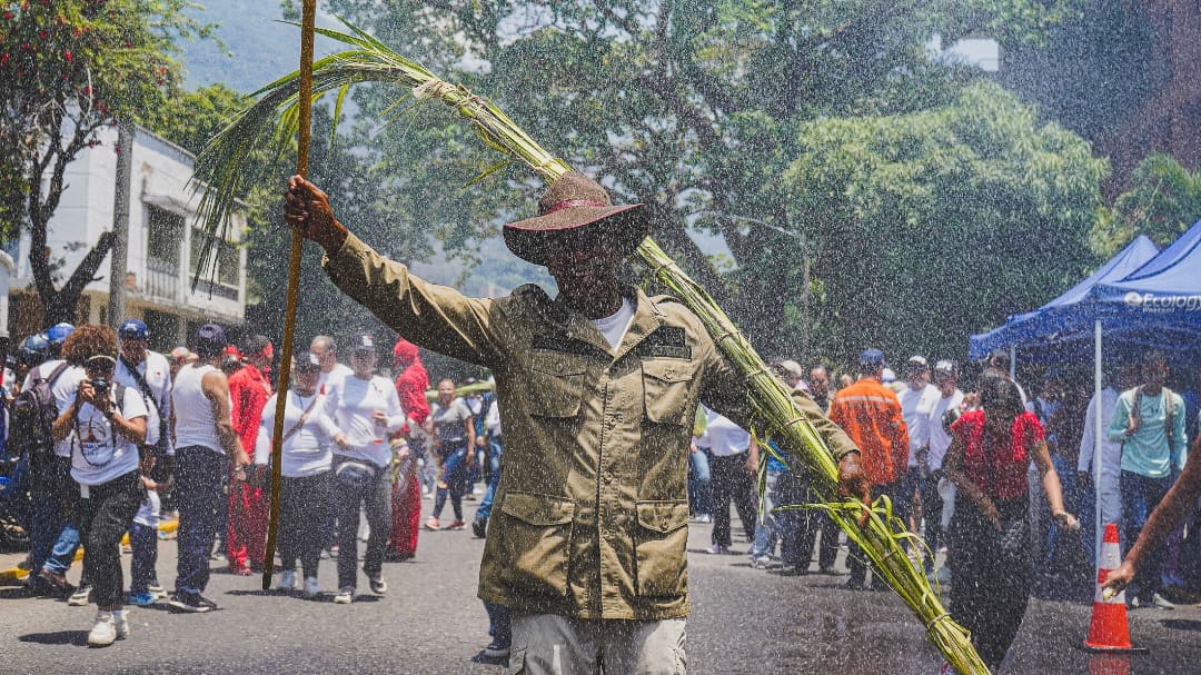Palmeros de Chacao