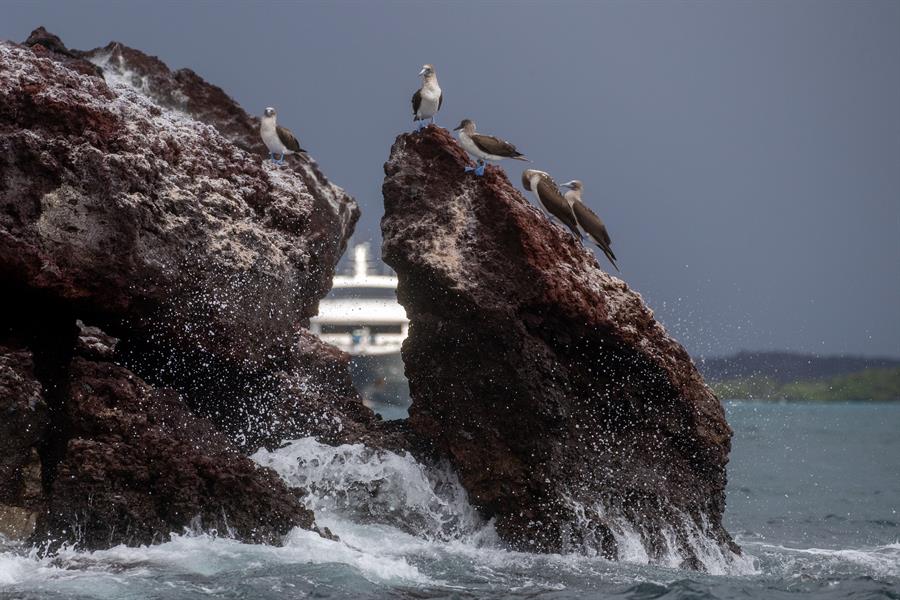 islas Galápagos