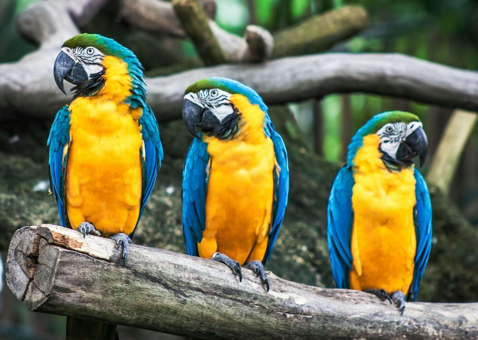 sid-balachandran-hXttDVCwyRA-unsplash