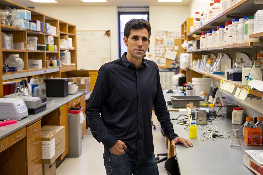 estudio - microbiota - antibióticos