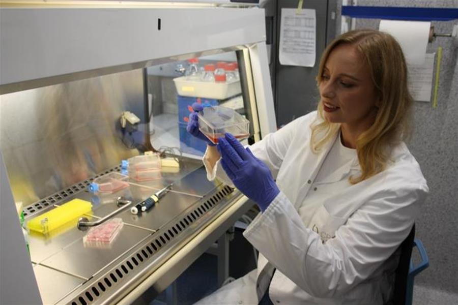 Laboratorio