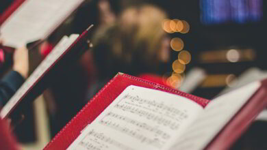david-beale-gOsGgt4olNs-unsplash