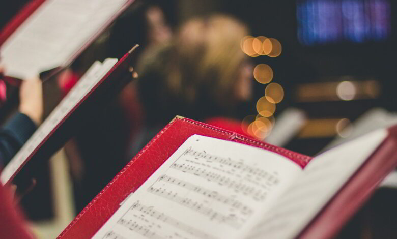 david-beale-gOsGgt4olNs-unsplash