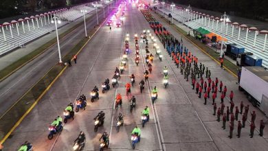 Carnavales Seguros 2025