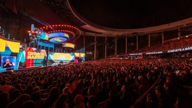 George Harris - Viña del Mar 2025