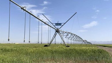 agricultura ecológica