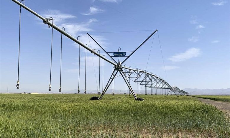 agricultura ecológica