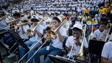 Sistema de Orquestas