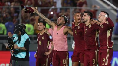 Vinotinto