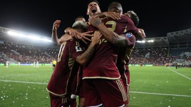 Vinotinto
