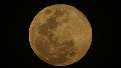 Luna