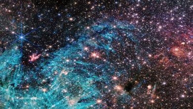 estrellas