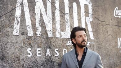 Diego Luna