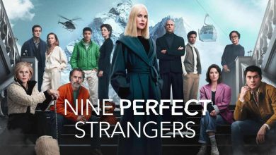 Nine perfect strangers