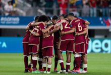 Vinotinto - FVF - Archivo