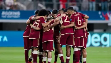 Vinotinto - FVF - Archivo