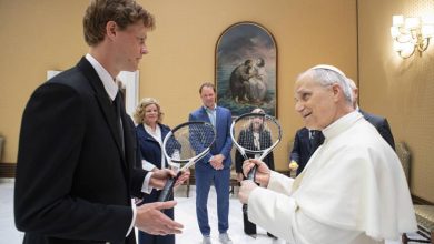 Sinner - Papa León XIV