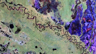 Imágenes satelitales de los bosques