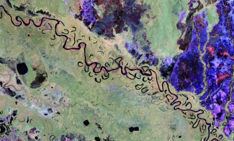 Imágenes satelitales de los bosques