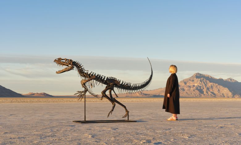Ceratosaurus