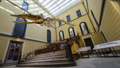 Museo Nacional de Brasil