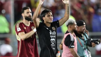 Telasco Segovia - Vinotinto