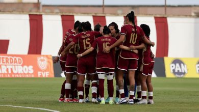 Vinotinto Femenina - FVF