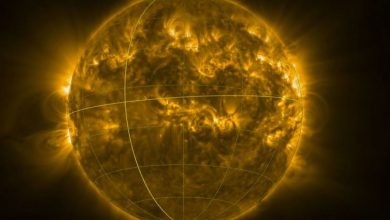 Polos solares