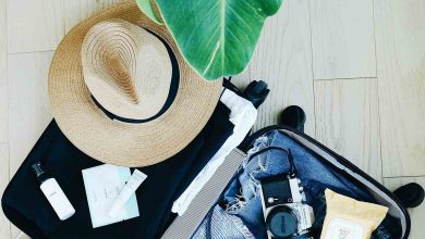 marissa-grootes-TVllFyGaLEA-unsplash